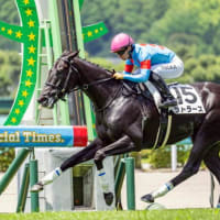 一口馬主クラブの愛馬上半期成績