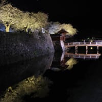 松代城のライトアップ４