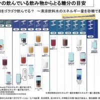 コレステロールと砂糖の関係➁