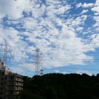        つかの間の晴れでリセット・・・
