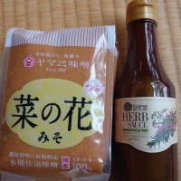 還暦記念！佐倉マラソンと千葉観光！
