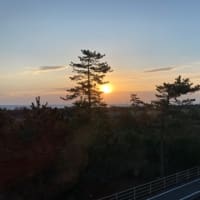 たまの非日常