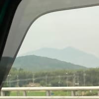 みんなで海へ🏝️