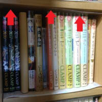 本棚のメンテナンス　その５　【収納編】