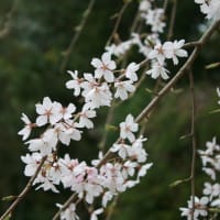 記事のタイトルを入力してください（必須）