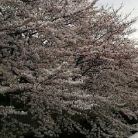 散歩