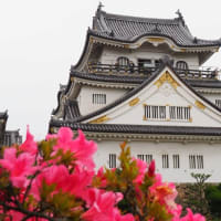 岸和田城の続100名城スタンプをやっとゲットだぜ！
