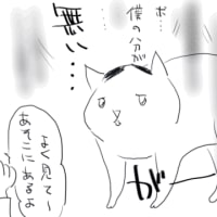 コタ、動揺する