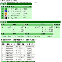 １月８日（月）の財テク競馬（番外編）