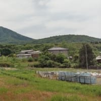 明日は雨の予報、今日は張りきって街頭演説17か所