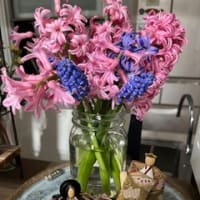 春の花だったんですね～