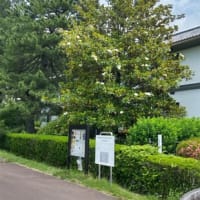 地震、楽天、猛暑と話題尽きず