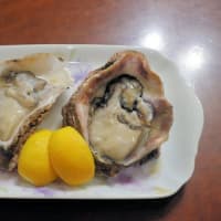 根室花まる　タルト　魚屋さんのお弁当