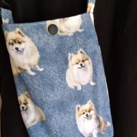 ふうたんのバッグ、完成しました。