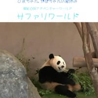 高野龍神スカイラインから南紀白浜　　2025.7.6