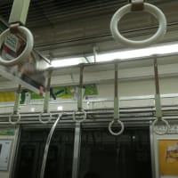 陸と角
