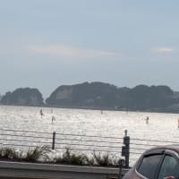 ７日　湘南