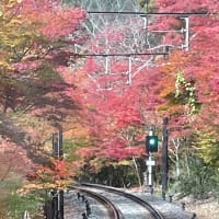 紅葉のトンネル　叡山電鉄で貴船神社へ