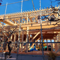 建前総桧造りの家