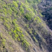 八甲田山から龍飛岬へ