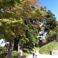 秋の箱根旅行