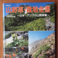 山野草栽培全書