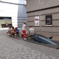 1233　高知（高知県）よさこいの街から終夜バスで帰る