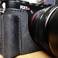 RX1RⅢ