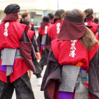 犬山踊芸祭２０２４　京都チーム「櫻嵐洛」