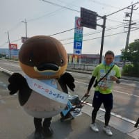 今年も出会いました。　バーコード頭の野洲のおっさん