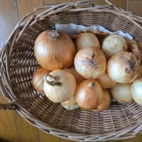 新玉葱の丸ごとスープ・・・