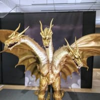 奥泉光　原武史　『天皇問答』　その２　令和の皇室は？　皇后の体調　秋篠宮家　　スタジアム構想