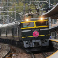 冬の新疋田駅
