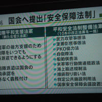 NHK日曜討論視聴　「安保法案審議入り」に思うこと