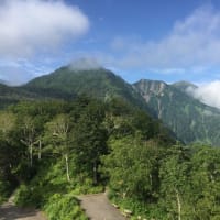 サギソウ と黒岳〜