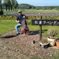 念願のチェロリサイタル🎻✨