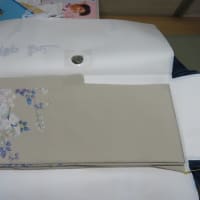 貸衣装訪問着単衣（撥水加工済み）シャンパンしみ　水洗い・しみ抜き　正絹素材