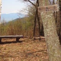 ▲ 荒倉山ハイク ▲
