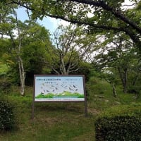 兵庫県丹波篠山市（JCC 2731）移動運用報告