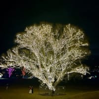 よいお年を