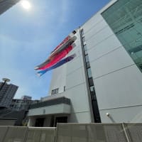 最近見なくなってきましたね