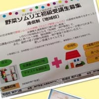 野菜ソムリエの初級（ジュニア野菜ソムリエ）通信の一日スクーリング校開設！