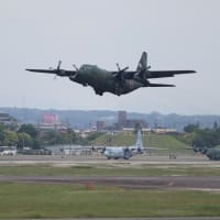 【M-5撮影特報】小牧基地日常風景,40周年の自衛隊ハーキュリーズ(2024-05-23)