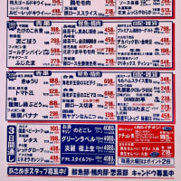 本日土曜市＊土曜市特別チラシ＊八丈島情報