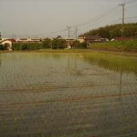 鹿児島本線415系　次々に来る列車を坦々と　2006-06-03