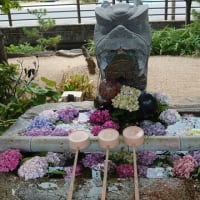 藤田神社の花手水～2025年7月5日