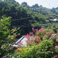 西吉野町の山郷へ