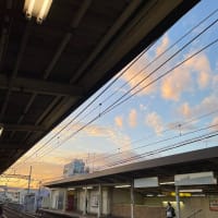 2023.10.30トーキョー墓参り（Facebook 10.30〜11.01）