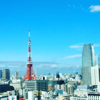 6月17日