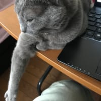 在宅勤務病。